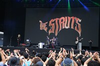 The Struts