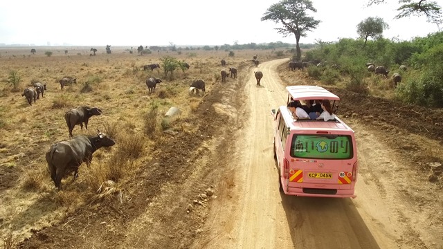 「あいのり：African Journey」場面写真