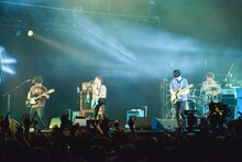 ポルカドットスティングレイ