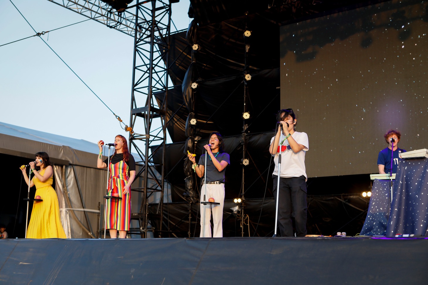 Superorganism