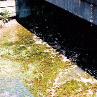 ゆうらん船「ゆうらん船2」ジャケット