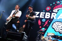 Zebrahead
