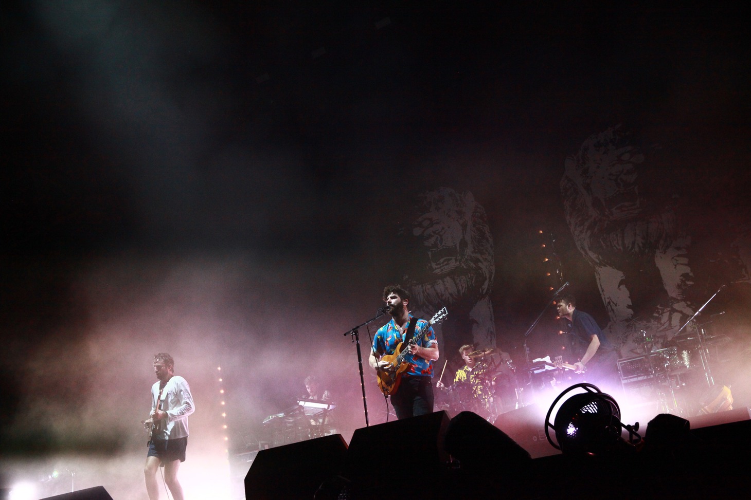 Foals
