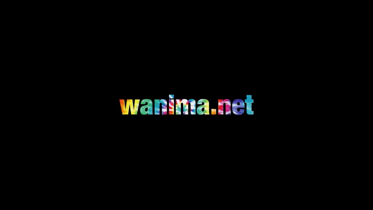 WANIMA「COMINATCHA!! TOUR 2019-2020」トレイラー映像より。