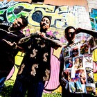 野外ヒップホップフェス「CIRCUS × CIRCUS」に舐達麻、Daichi Yamamoto、MIYACHI