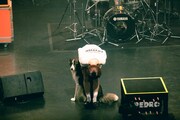 アユニ・Dと犬。（Photo by sotobayashi kenta）