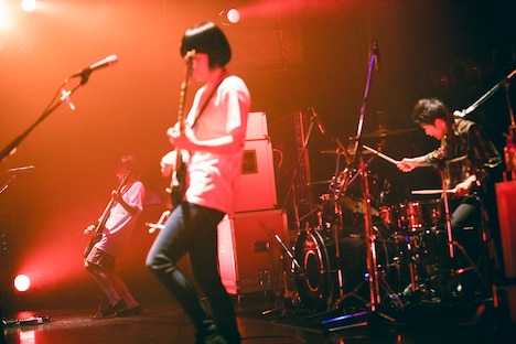 PEDRO（Photo by sotobayashi kenta）