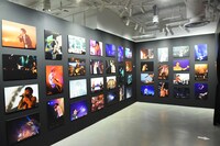 「ポルノ展 20 YEARS EXHIBITION」の様子。