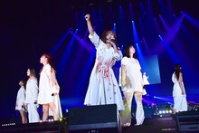 大阪☆春夏秋冬