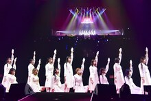 ラストアイドル