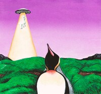 South Penguin「Y」ジャケット