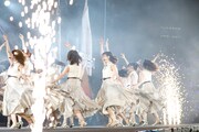 乃木坂46「乃木坂46 真夏の全国ツアー2019」最終公演の様子。（写真提供：ソニー・ミュージックレーベルズ）