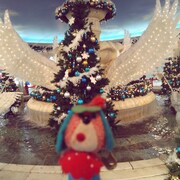 西中島きなこ「ナタリー」配信ジャケット