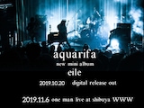 aquarifa「eile」告知バナー