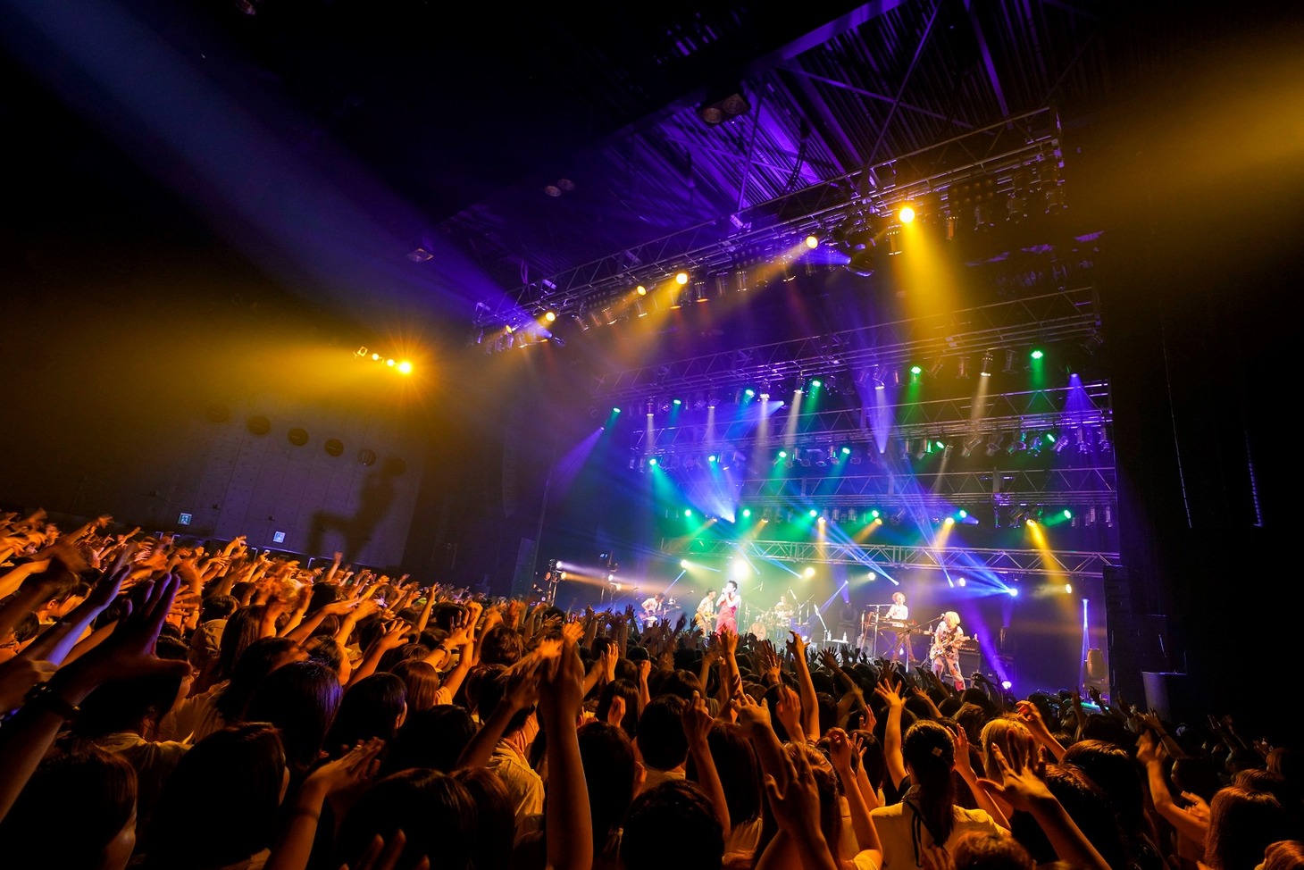 「菅田将暉LIVE TOUR 2019 “LOVE”」東京・Zepp DiverCity TOKYO公演の様子。（撮影：上飯坂一）