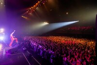 菅田将暉「菅田将暉LIVE TOUR 2019 "LOVE"」東京・Zepp DiverCity TOKYO公演の様子。（撮影：上飯坂一）