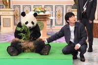 日本テレビ系「行列のできる法律相談所」9月8日放送回より。(c)日本テレビ