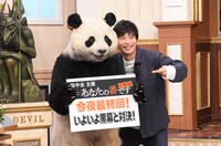 日本テレビ系「行列のできる法律相談所」9月8日放送回より。(c)日本テレビ