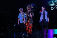 ヨコハマ・ディビジョンMAD TRIGGER CREW（撮影：田浦ボン、キシノユイ、渡辺慎一）