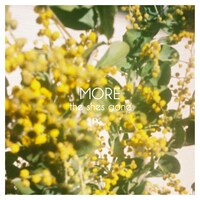 the shes gone「MORE」ジャケット