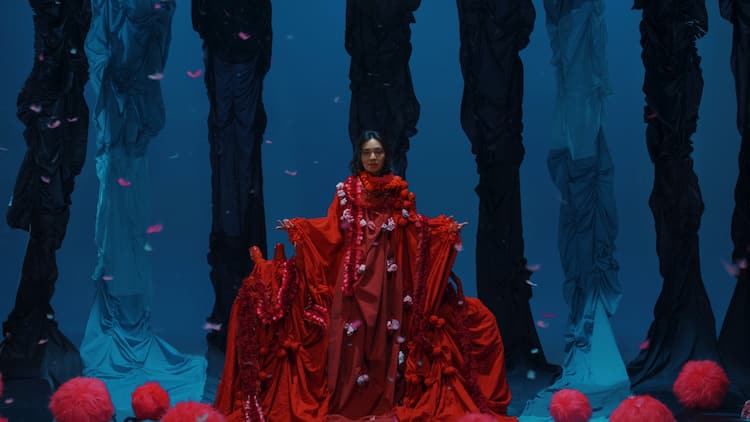 Cocco 海の中の世界 モチーフのmv公開 監督と衣装を歳の大学生が担当 動画あり 音楽ナタリー