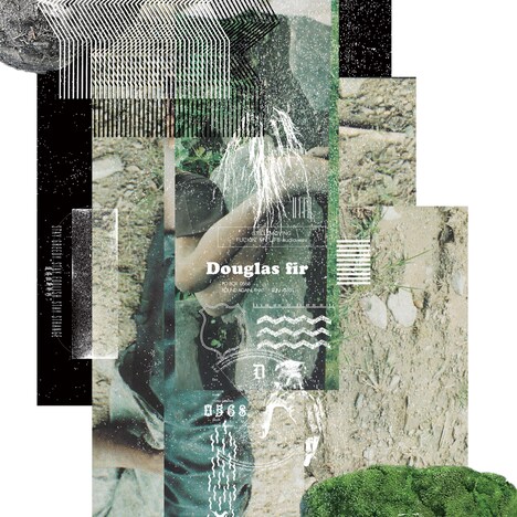 Campanella「Douglas fir」配信ジャケット
