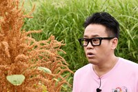 アマランサスを見る宮川大輔。(c)日本テレビ