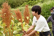 アマランサスの畑を訪れた北村匠海（DISH//）。(c)日本テレビ