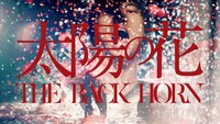 THE BACK HORN「太陽の花」ミュージックビデオのワンシーン。