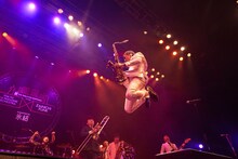 GAMO（東京スカパラダイスオーケストラ）