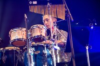 シマダボーイ（Perc）