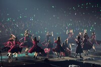 欅坂46「夏の全国アリーナツアー2019」東京・東京ドーム公演の様子。