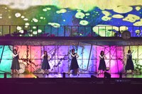 欅坂46「夏の全国アリーナツアー2019」東京・東京ドーム公演の様子。