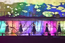欅坂46「夏の全国アリーナツアー2019」東京・東京ドーム公演の様子。