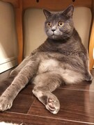 飯島颯が選んだクマくんのベストショット。