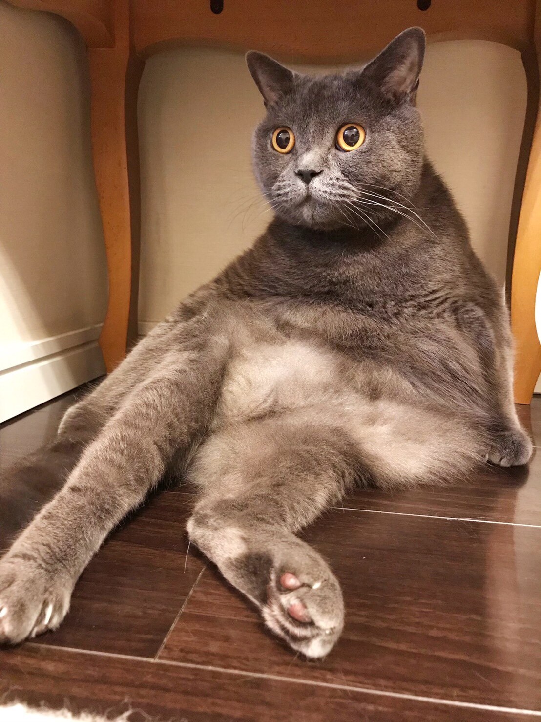 飯島颯が選んだクマくんのベストショット。