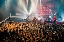 「SPACE SHOWER TV "LIVE with YOU" ～Official髭男dism～ supported by uP!!!ライブパス」の様子。（撮影：渡邉一生）