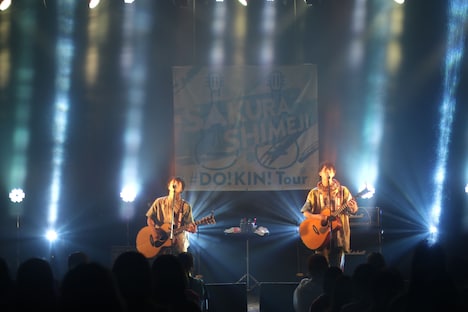 さくらしめじ（撮影：鈴木友莉）