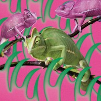 赤い公園「消えない - EP」ジャケット