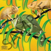 赤い公園「消えない - EP」購入特典のオリジナルステッカーB。