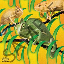 赤い公園「消えない - EP」購入特典のオリジナルステッカーB。