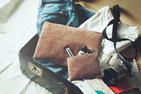 「with11月号」付録のマルチベロアポーチ。