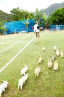 北村匠海写真集「U＆I」より。（撮影：諸井純二）