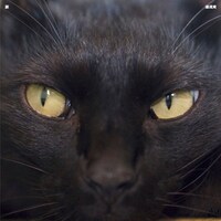 湯浅湾「脈」ジャケット