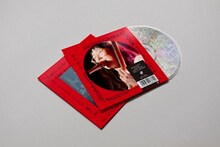 柴田聡子「SATOKO SHIBATA TOUR 2019 "GANBARE! MELODY" FINAL at LIQUIDROOM」イメージ