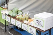 「NEGi FES」で販売された野菜や果物。