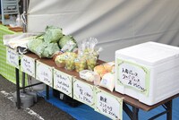 「NEGi FES」で販売された野菜や果物。