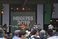 シャムキャッツ