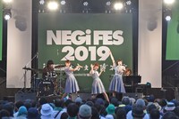 Negicco