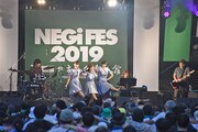 Negicco